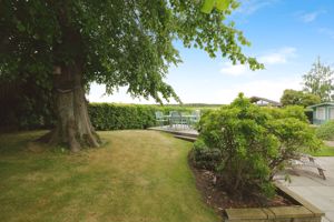 Photo 50- click for photo gallery